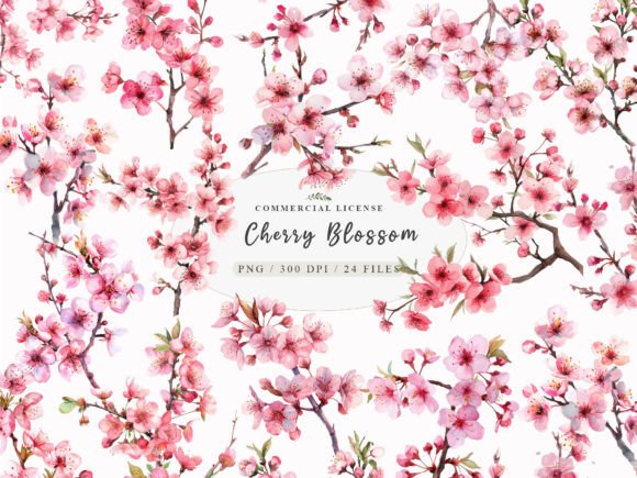 Watercolor Cherry Blossom Clipart: A Spring Design Staple