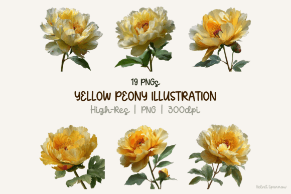 Yellow Peony Illustration 19 Png: Elevate Your Creative Projects